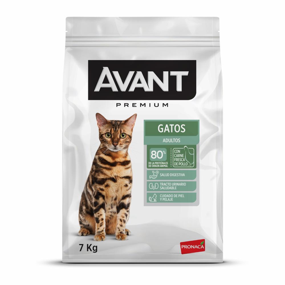 Avant Gatos